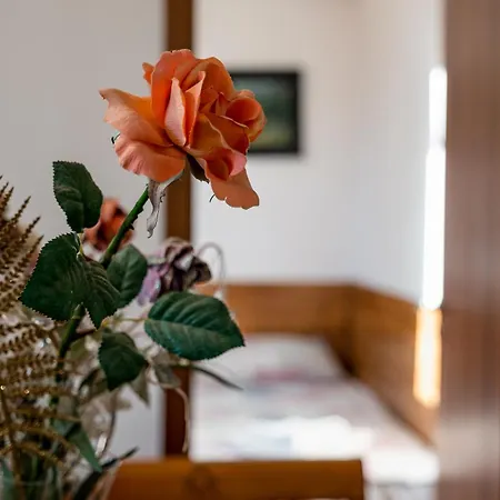 Apartment Thermae 2bdrm Sunny *