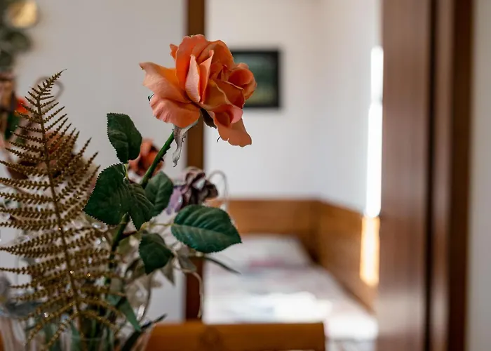 Apartment Thermae 2bdrm Sunny *